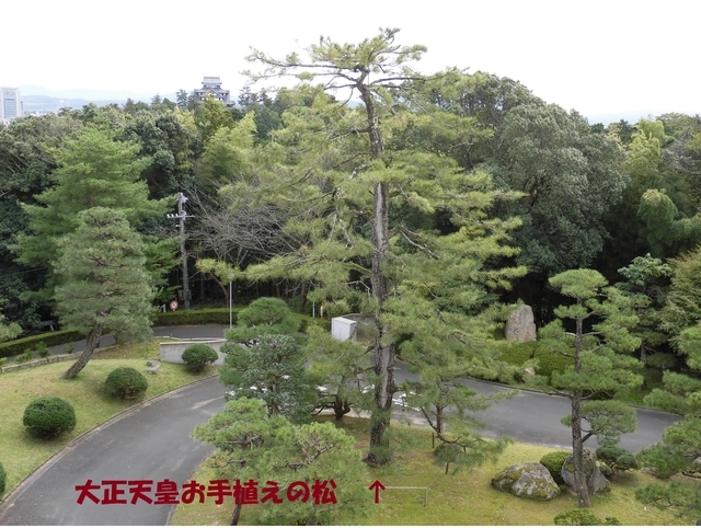 学校の風景