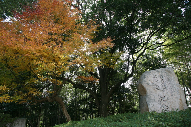 学校の風景