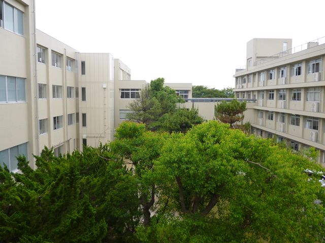 学校の風景