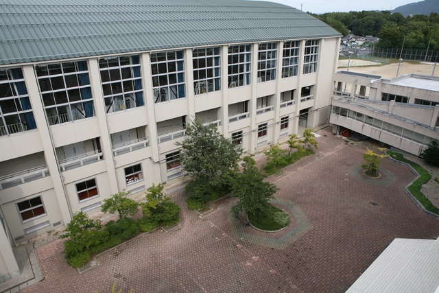 学校の風景