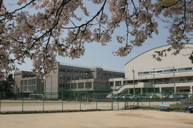 学校の風景