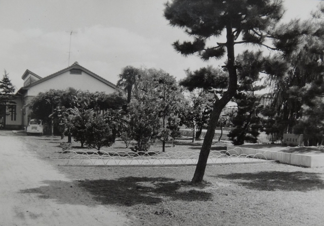 川津校舎