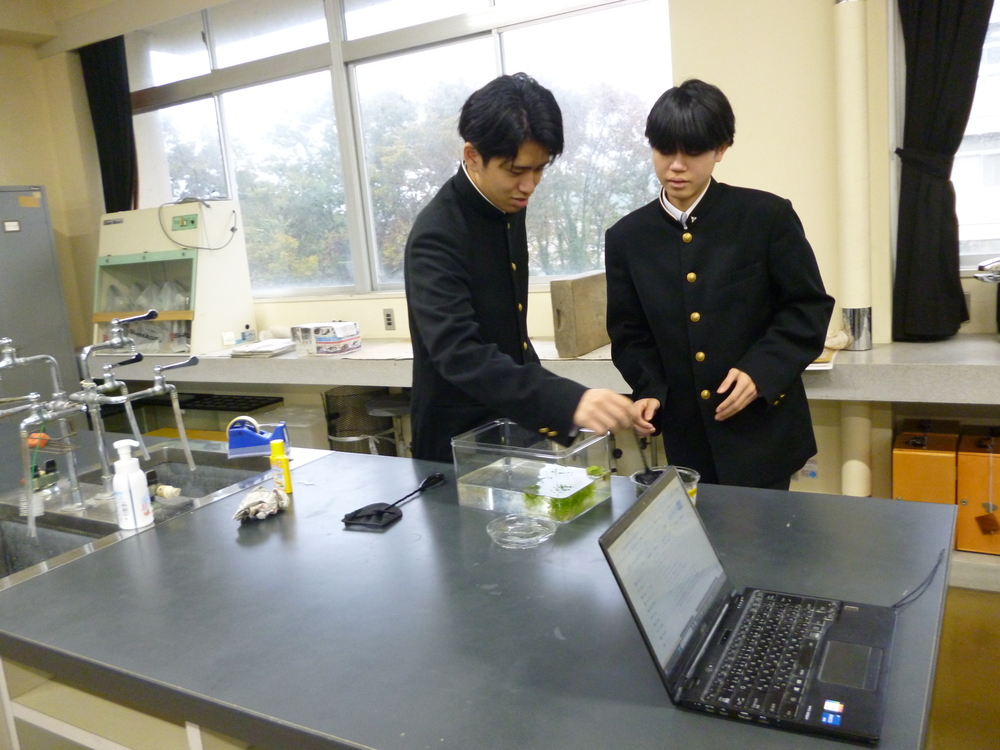 サイエンスカフェ２