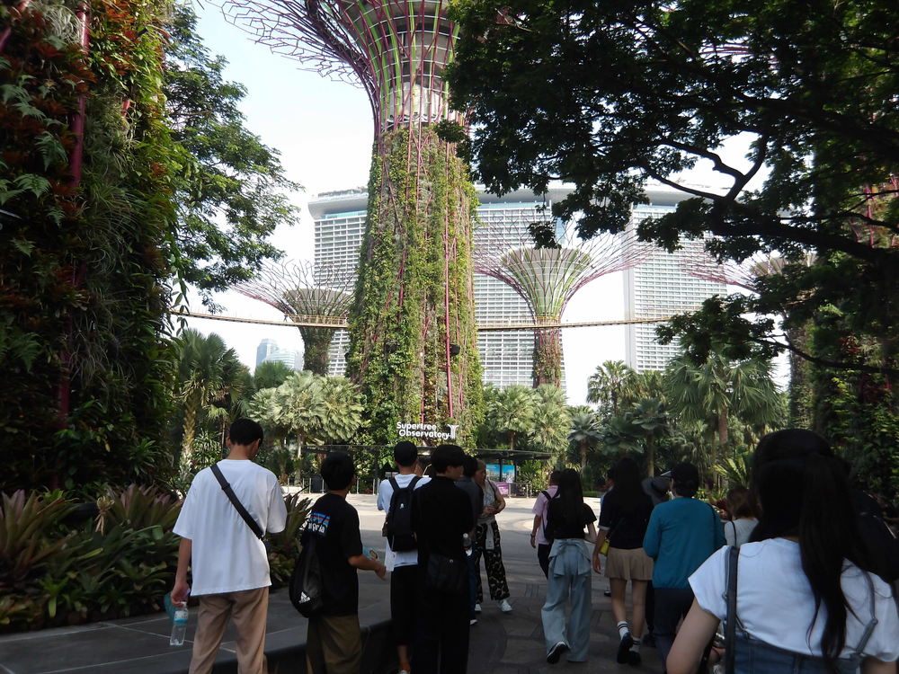 シンガポール